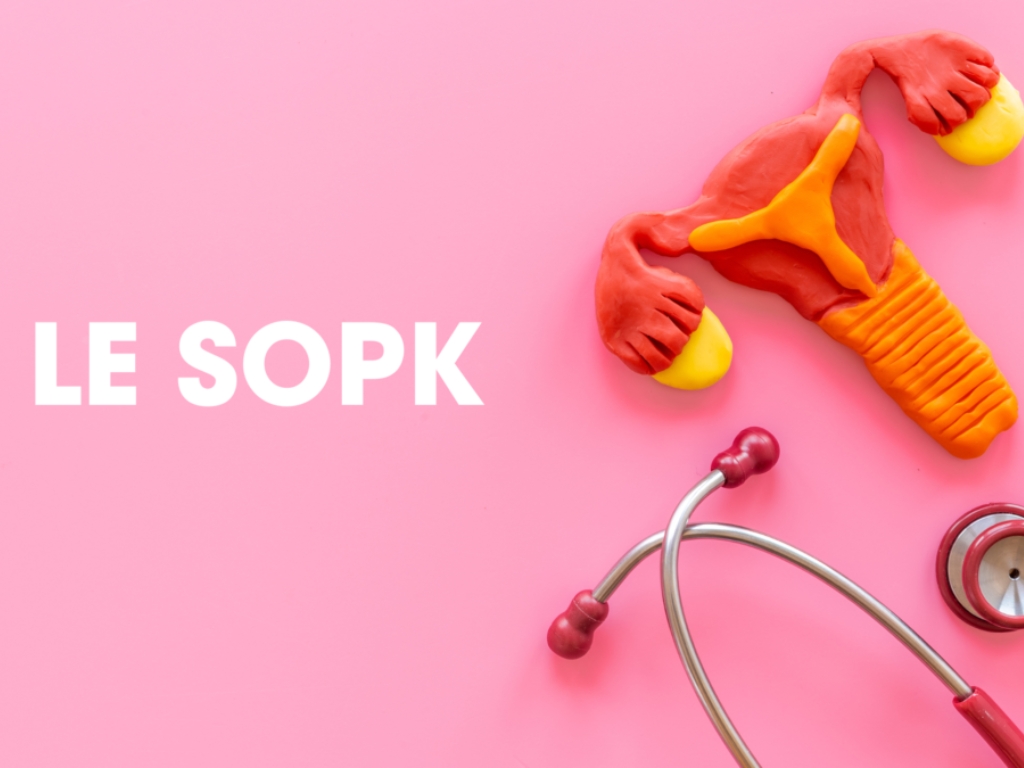 Bright pink background with a red-orange clay model of the uterus and fallopian tubes, a stethoscope nearby, and the text 'LE SOPK' on the left.